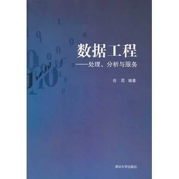 《数据工程--处理、分析与服务》(岳昆)【简介_书评_在线阅读】 - 当当图书